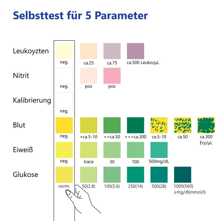 shopapotheke LuxmedIQ Urin Teststreifen für 5 Parameter - Blasen- & Harnwegsentzündungen Zeitlich begrenztes Angebot