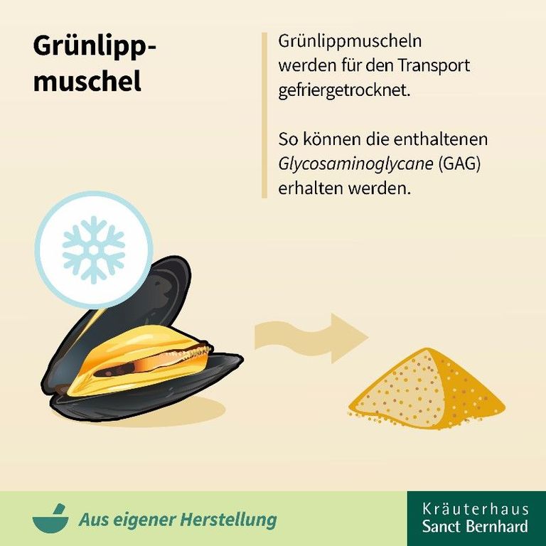 shopapotheke Sanct Bernhard Grünlippmuschel-Kapseln JETZT KAUFEN