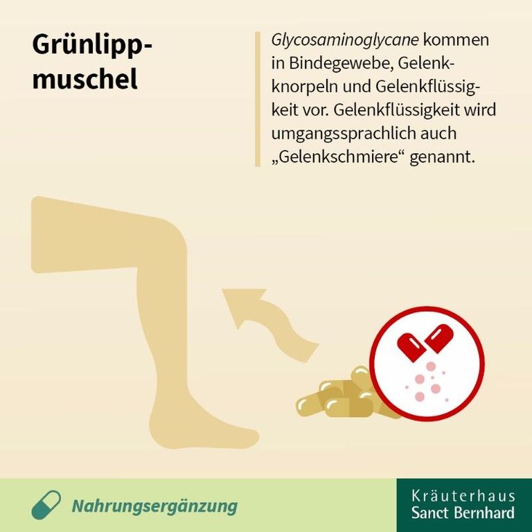 shopapotheke Sanct Bernhard Grünlippmuschel-Kapseln JETZT KAUFEN