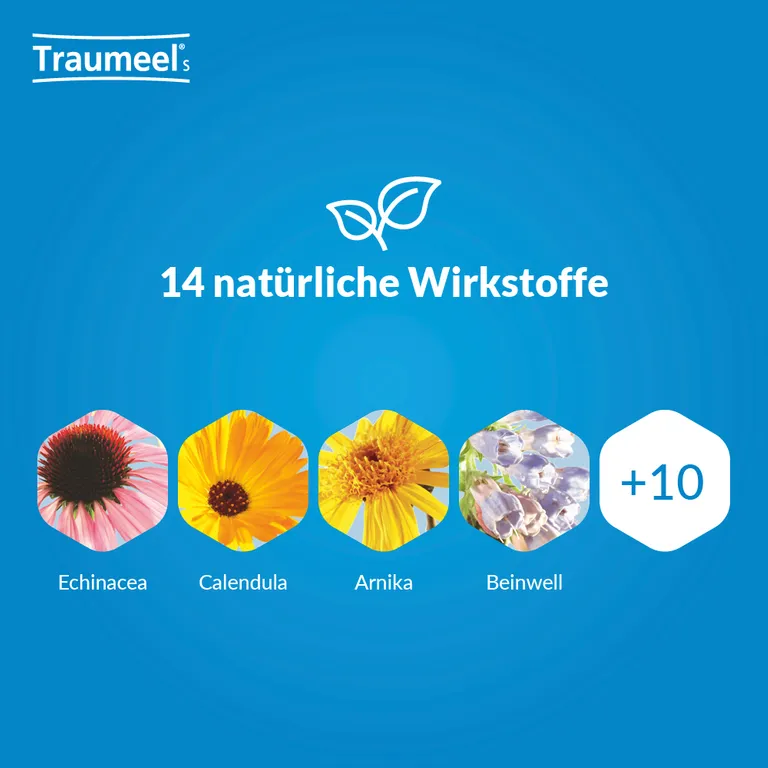 shopapotheke Traumeel® S Tabletten & Creme Fabrikpreis