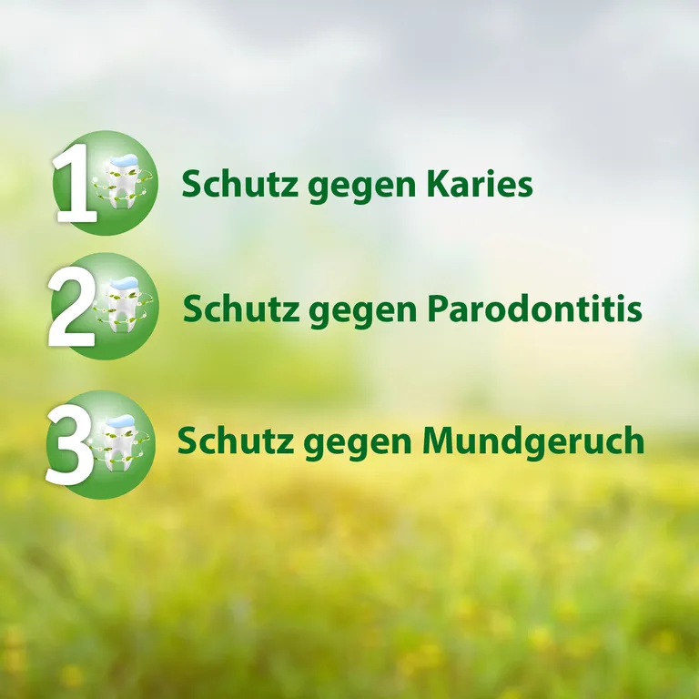 shopapotheke Salviagalen F Madaus - Medizinische Zahnpasta mit Fluorid 2025