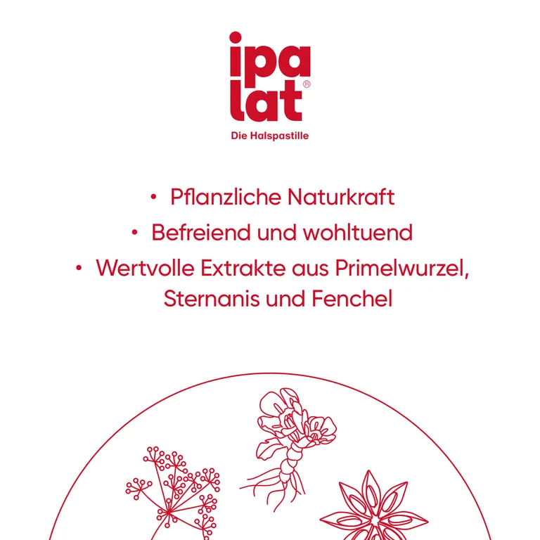shopapotheke ipalat® Halspastillen Zuckerfrei Speichern exportieren