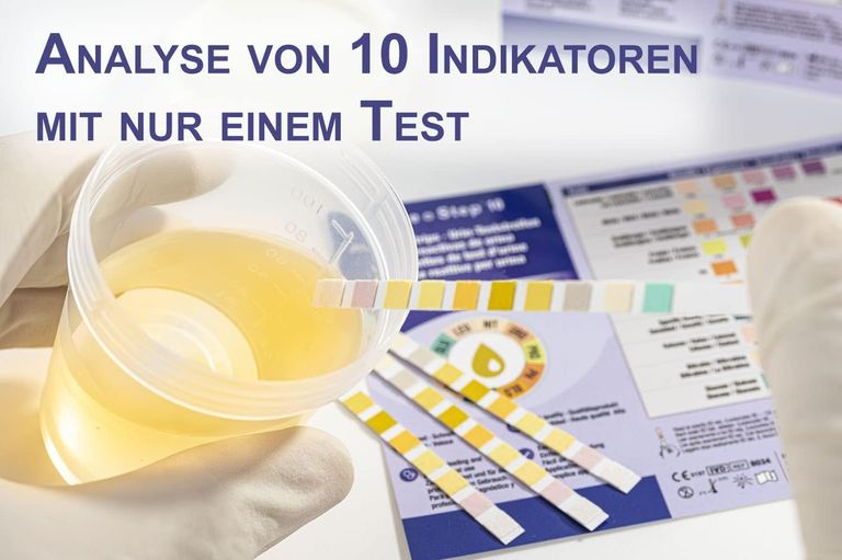 shopapotheke One+Step Urinteststreifen für 10 Indikatoren inkl. Referenzfarbkarte Weihnachtsangebot