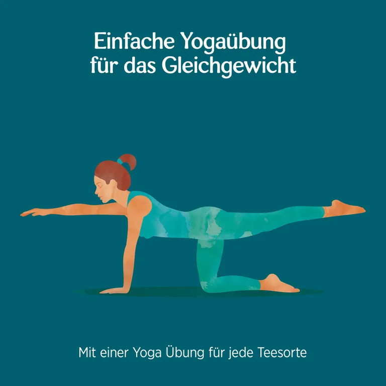 shopapotheke YOGI TEA® Halswärmer Bio Kräutertee Preisnachlass